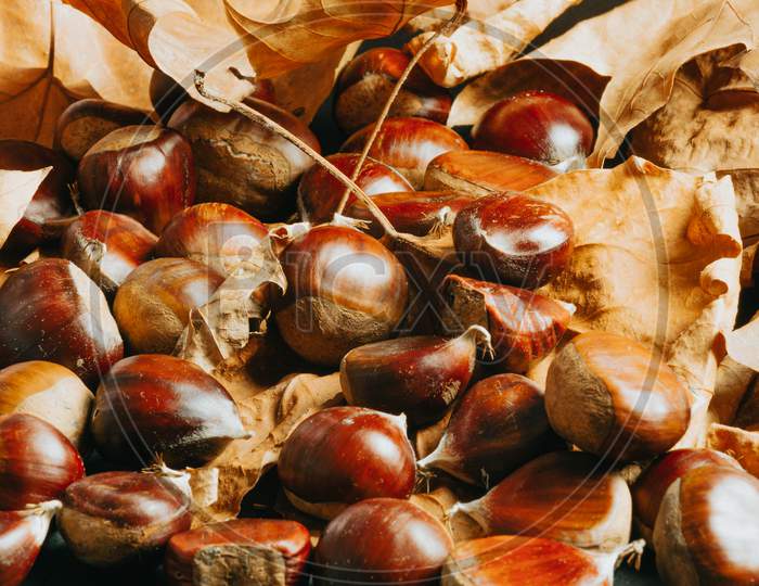 Background Of Chestnuts Over Autumnal Leaves On Fall Tones With Texture And Copy Space