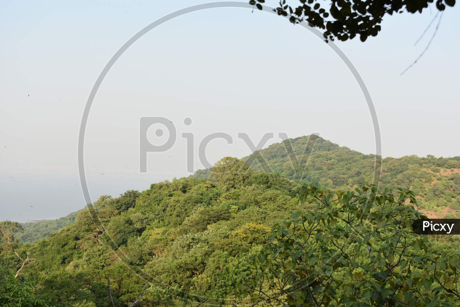 View Of The Top Of A Island Filled With Green Trees Near Mumbai