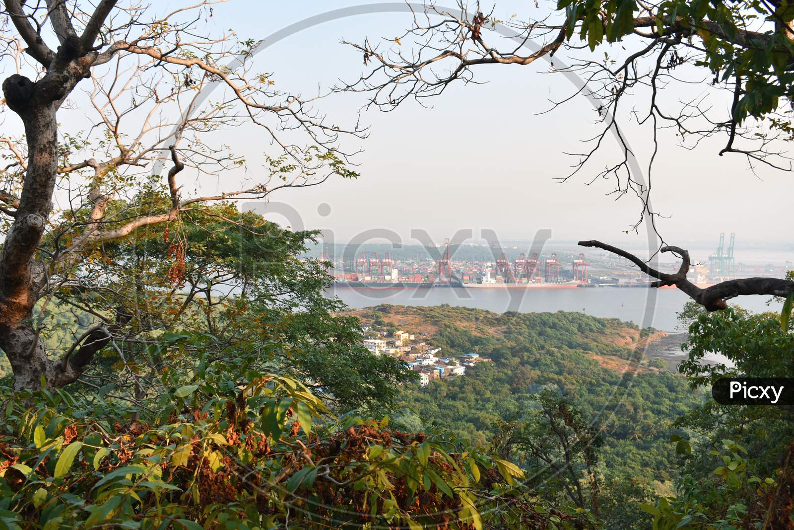 Beautiful Mumbai Port Captured From The Top With Colourful Trees In The Foreground.
