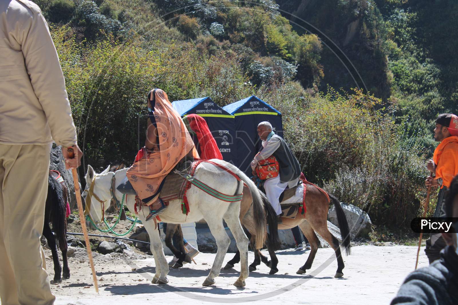 Devotees traveling to Kedarnath