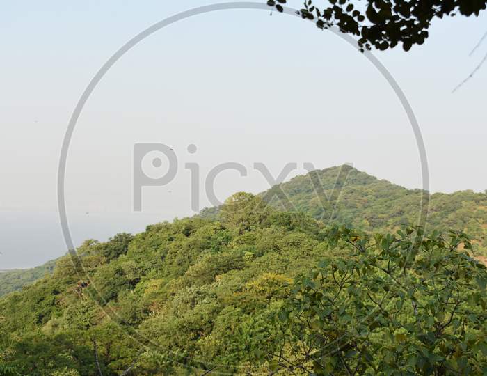 View Of The Top Of A Island Filled With Green Trees Near Mumbai