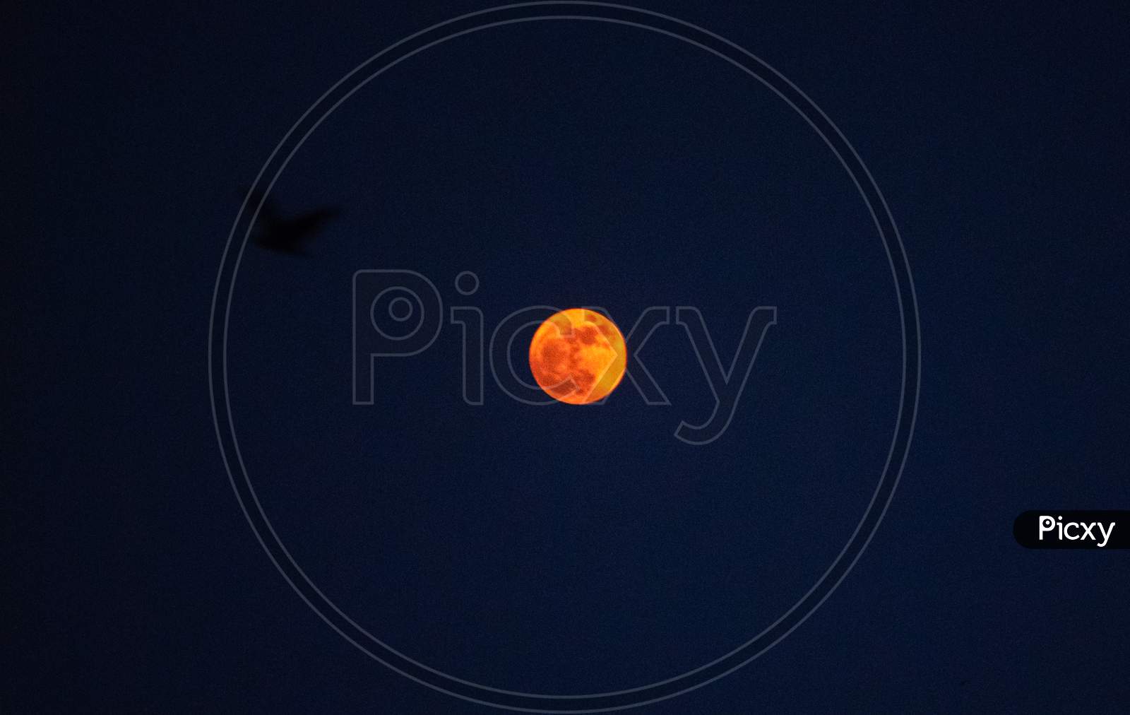 Blue Moon rising in the sky on October 31, 2020 in Hyderabad