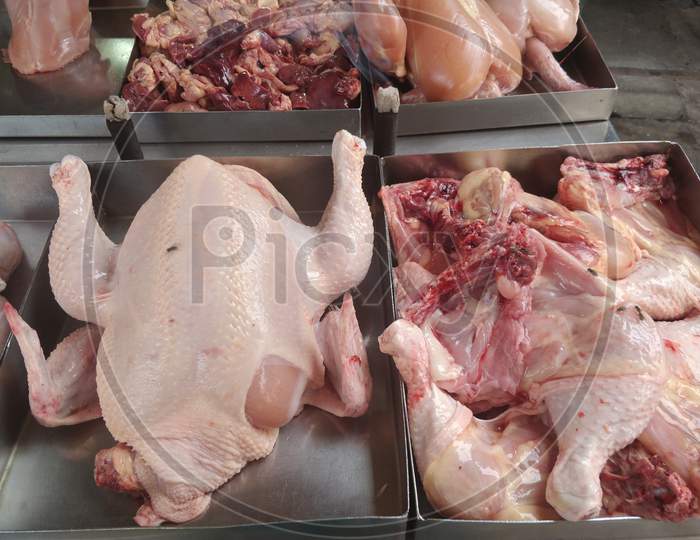 Fresh Chicken meat
