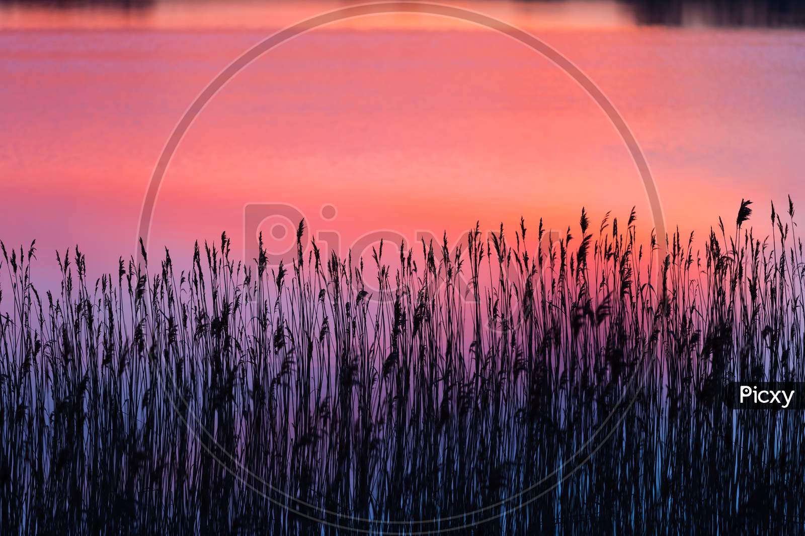 Beautiful Lake With Colorful Sunset Sky Refected In Water. Tranquil Vibrant Landscape