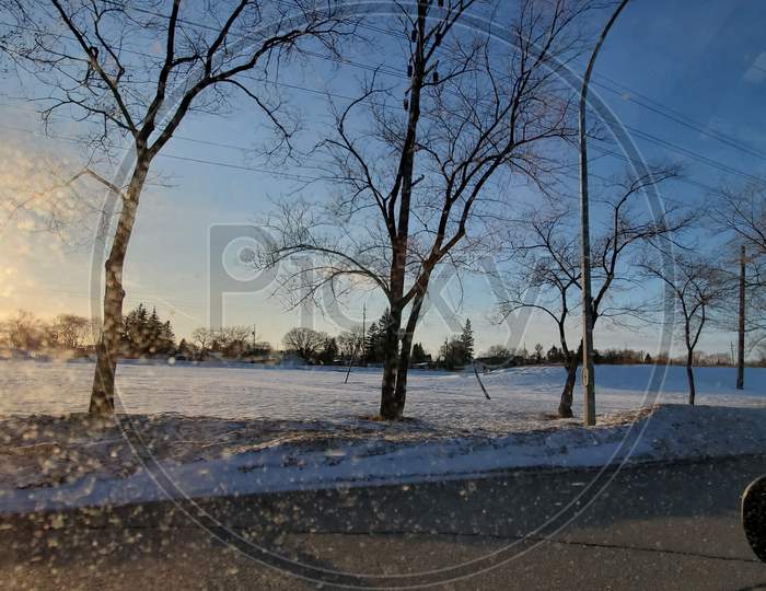 winter trees snow landscape
