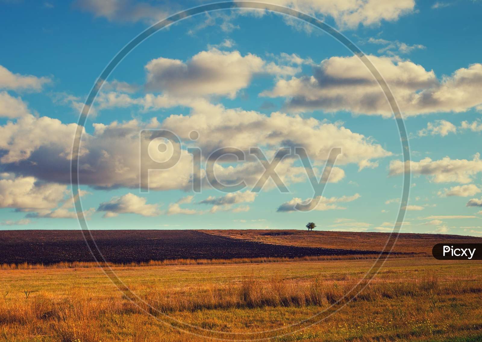 Beautiful Field With Blue Cloudy Sky