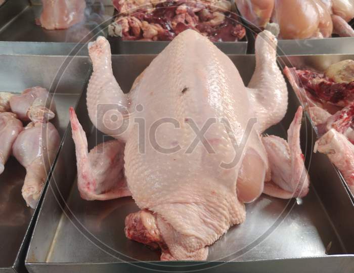 Fresh Chicken meat