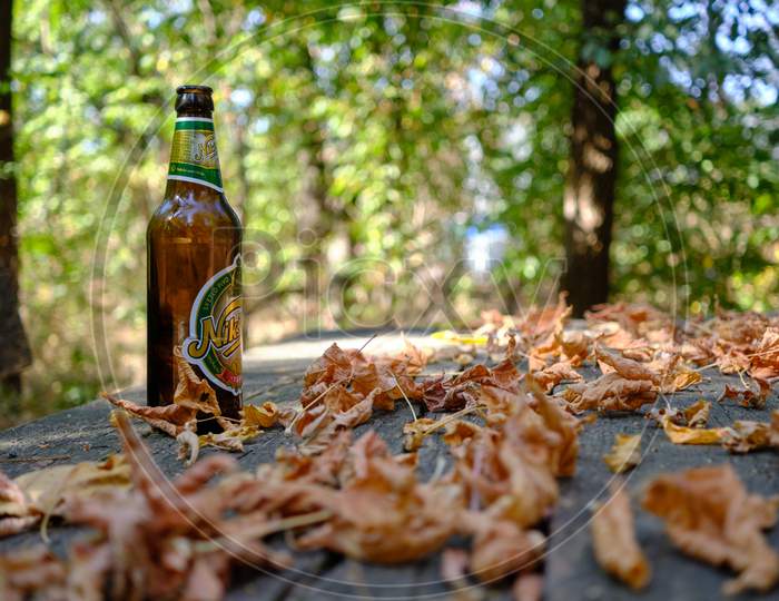 Bottle Of Montenegrin Niksic Beer On A Table In A Park With Autumn Leaves