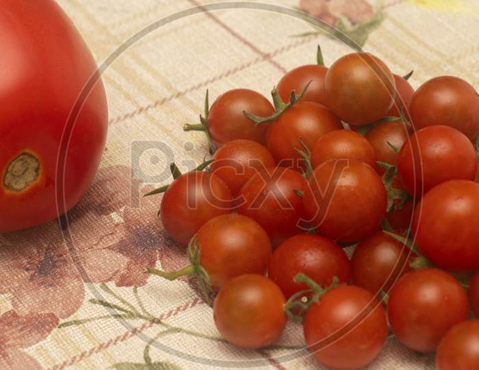Single Large Tomato Along With A Bunch Of Cherry Tomatoes