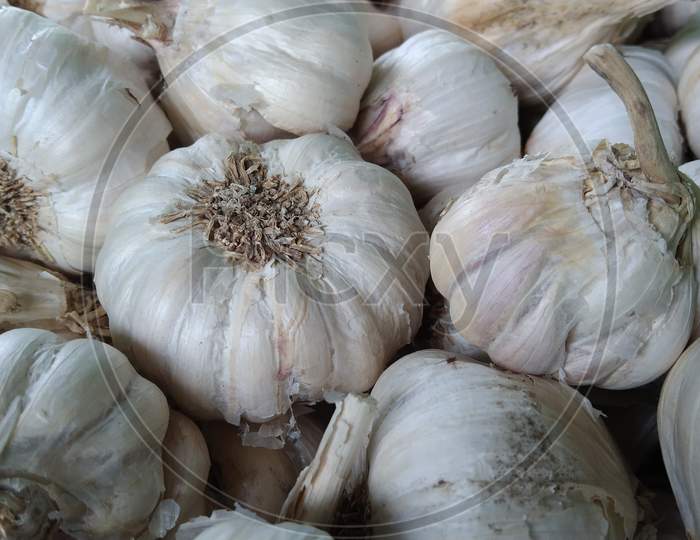 Indian Garlic image