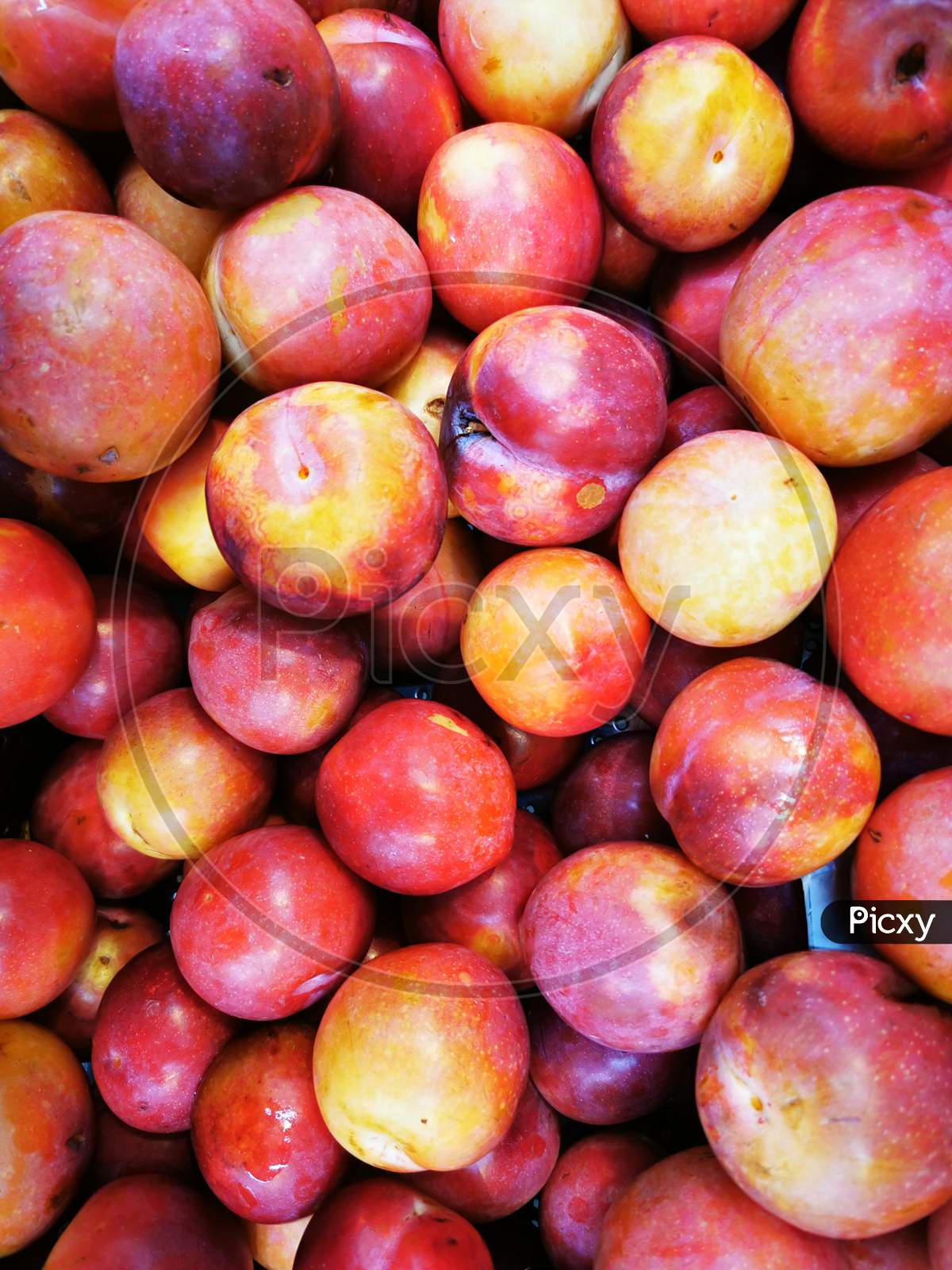 A plum is a fruit of the subgenus Prunus of the genus Prunus.