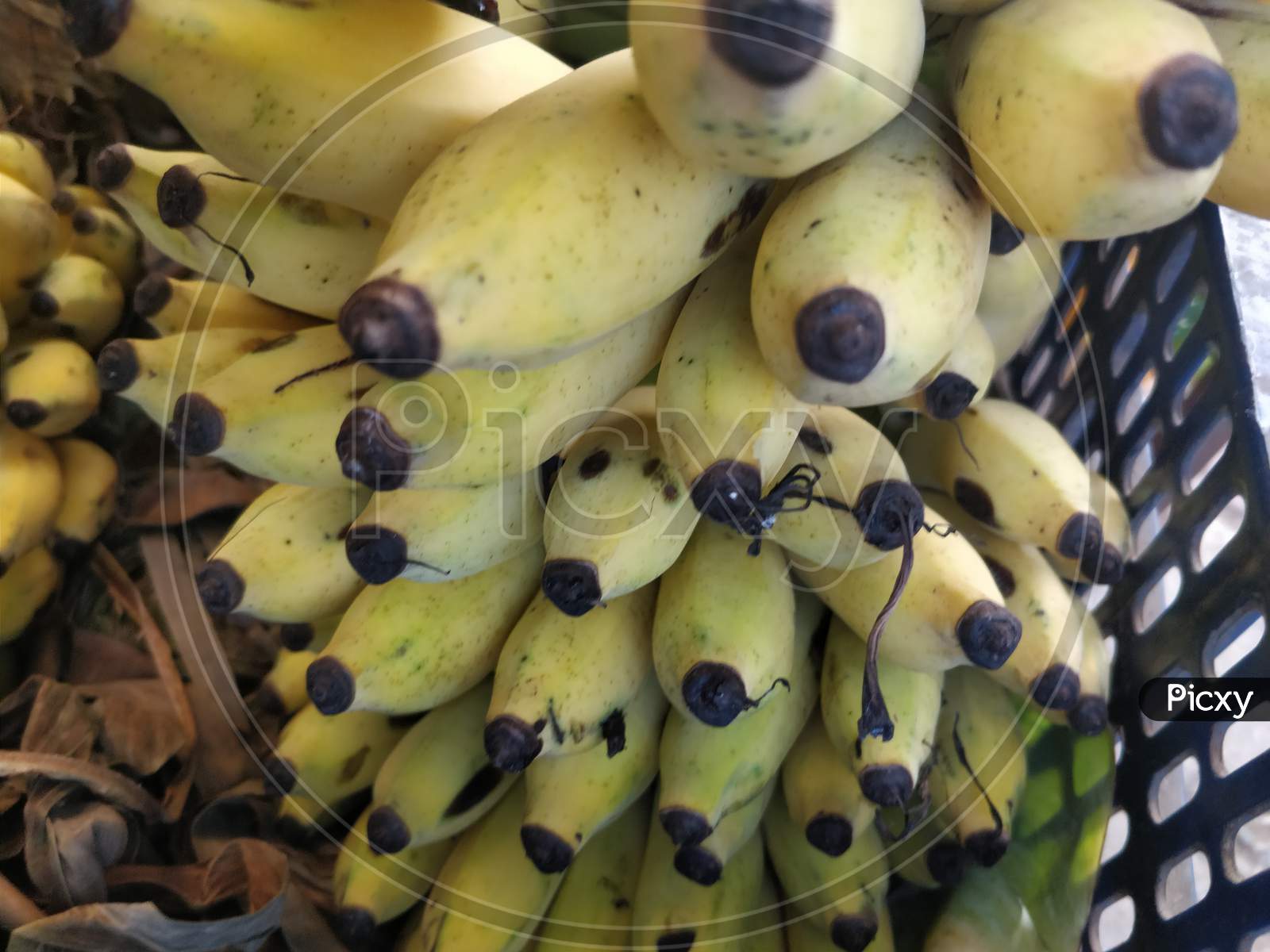 Banana for sale backgrounds