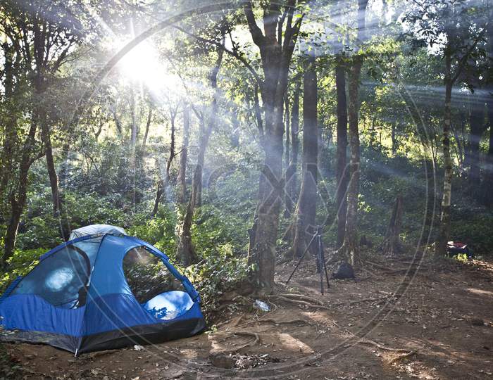 Camping Tents In Forest