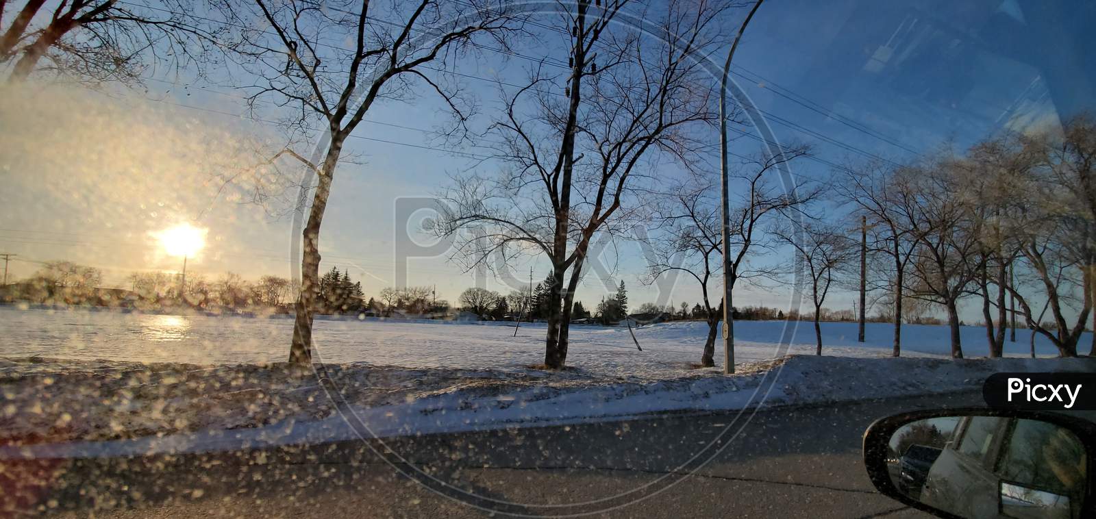 winter trees snow landscape