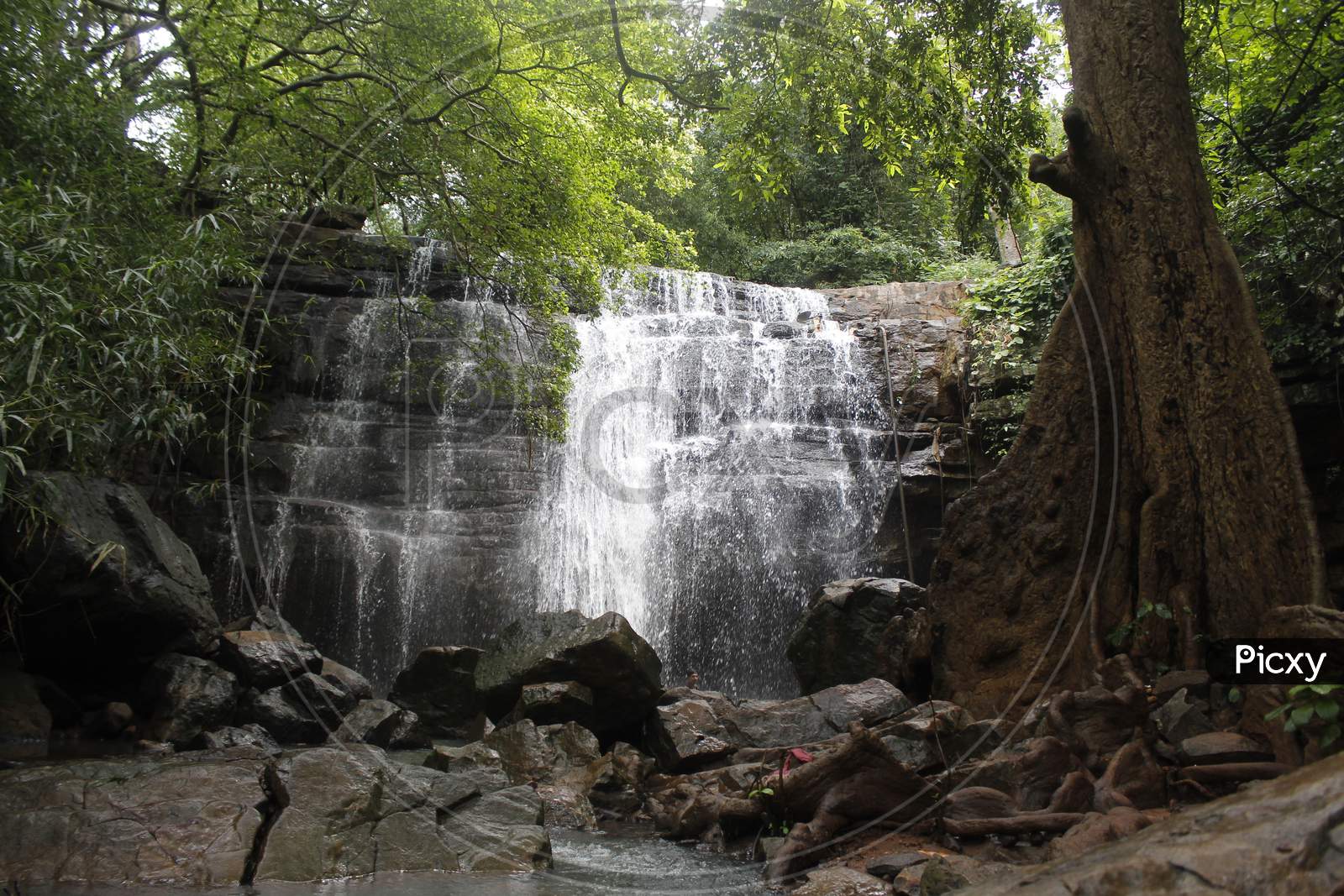 Bheemunipadam waterfalls  gudur mandal near narsampet in warangal district