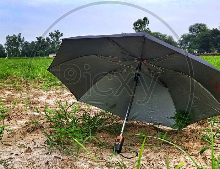 Umbrella in the field