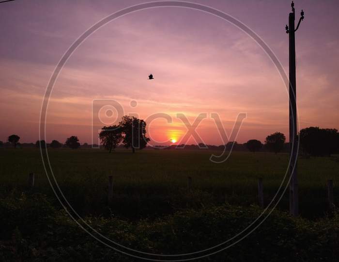 Sunrise at Ahmedabad 2020