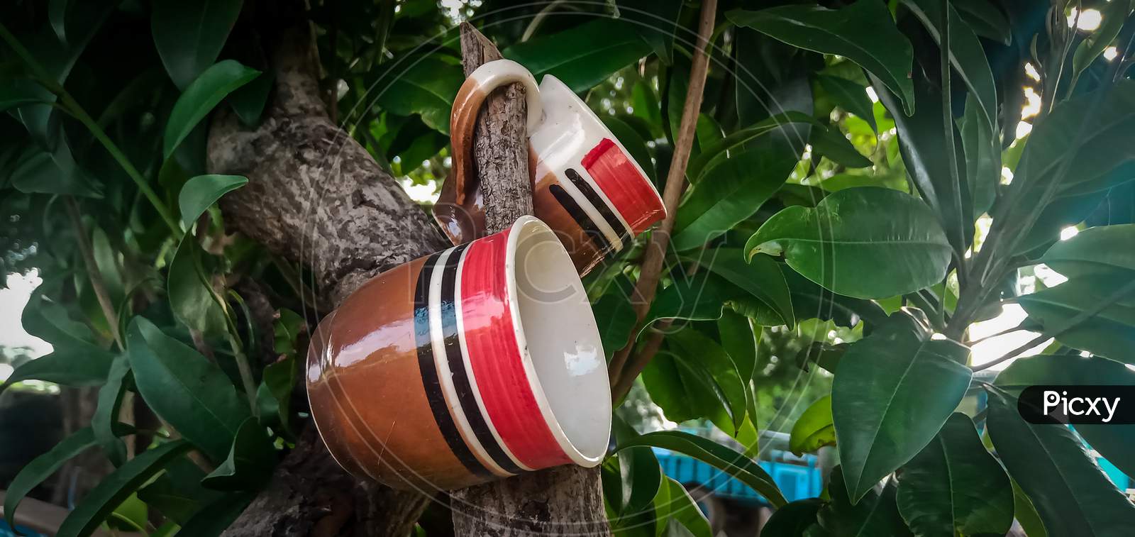 Tea cups hangout on a green plant