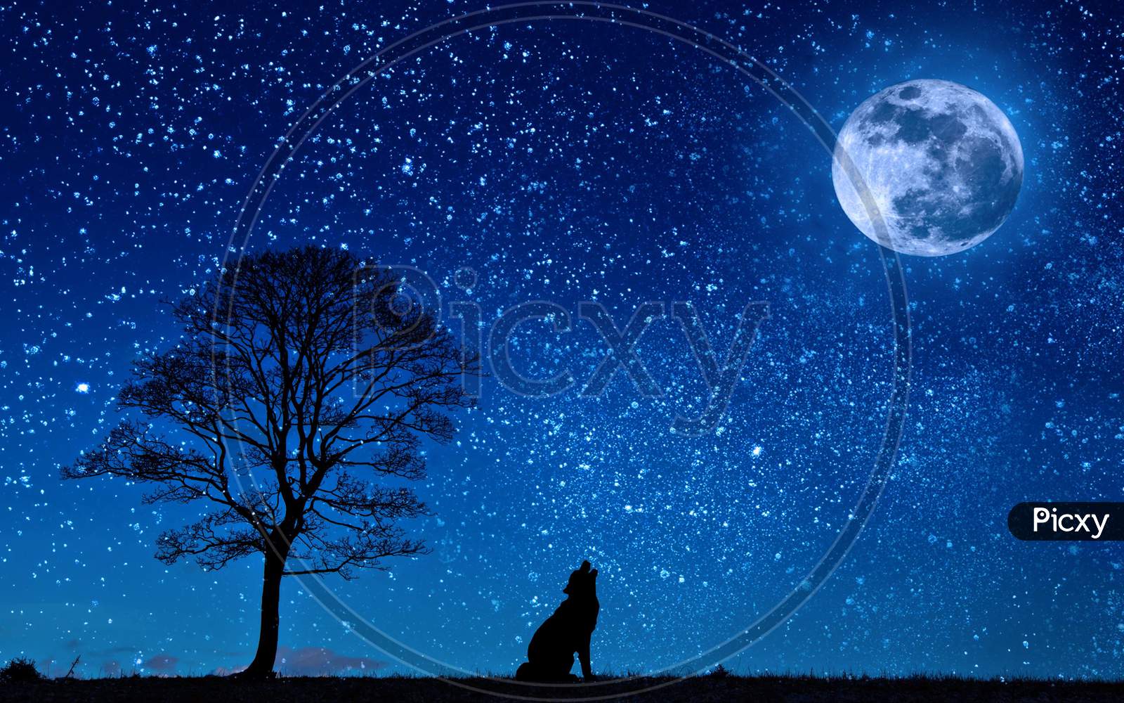 Scenic Landscape Of An Howling Fox During The Full Moon With Starry Sky During Night.
