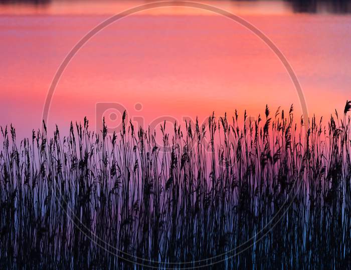 Beautiful Lake With Colorful Sunset Sky Refected In Water. Tranquil Vibrant Landscape