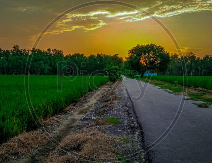 Sunset in country side punjab