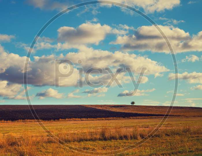 Beautiful Field With Blue Cloudy Sky