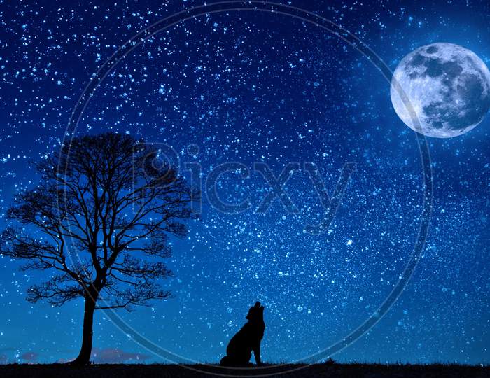 Scenic Landscape Of An Howling Fox During The Full Moon With Starry Sky During Night.