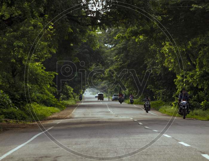 blissful morning through Warangal Narsampet road