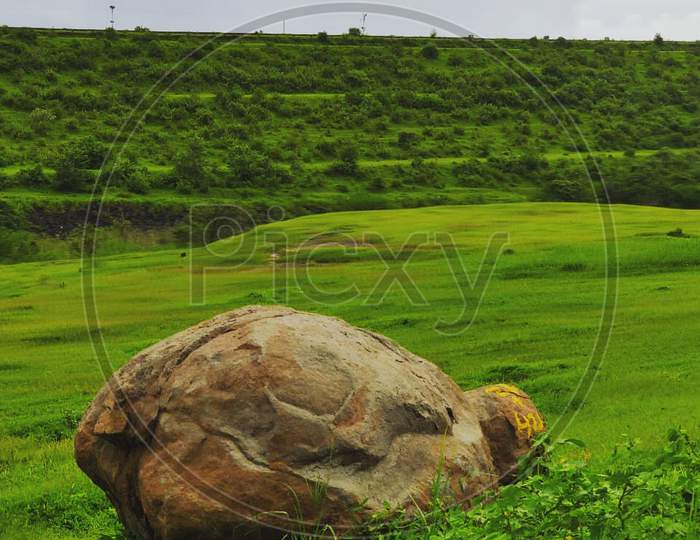 Tortoise shape rock and green landscape