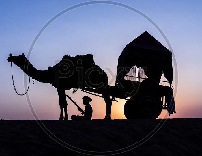 Under the camel