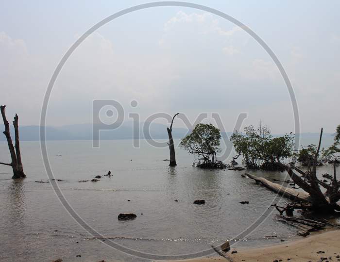 scenic view of Chidiya Tapu Beach, Andaman & Nicobar Island
