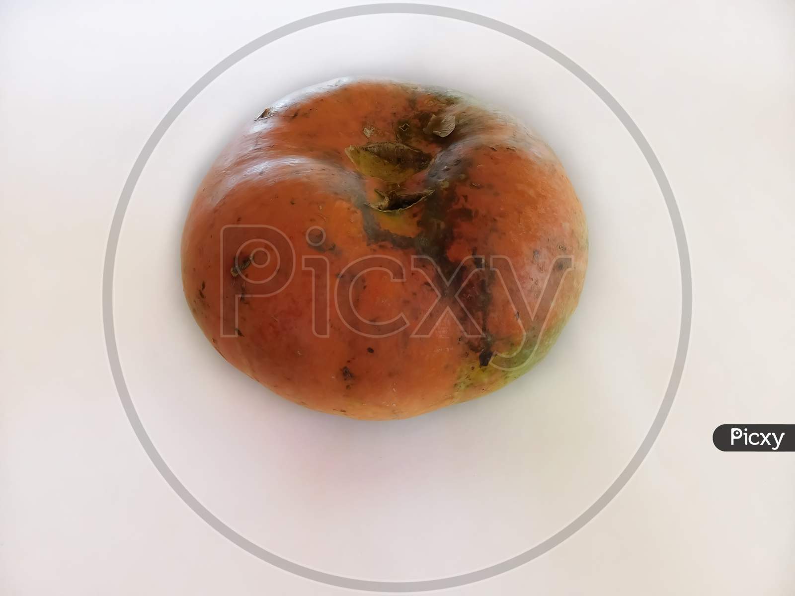 Closeup Of A Vegetable (Pumpkin) Isolated On White Background