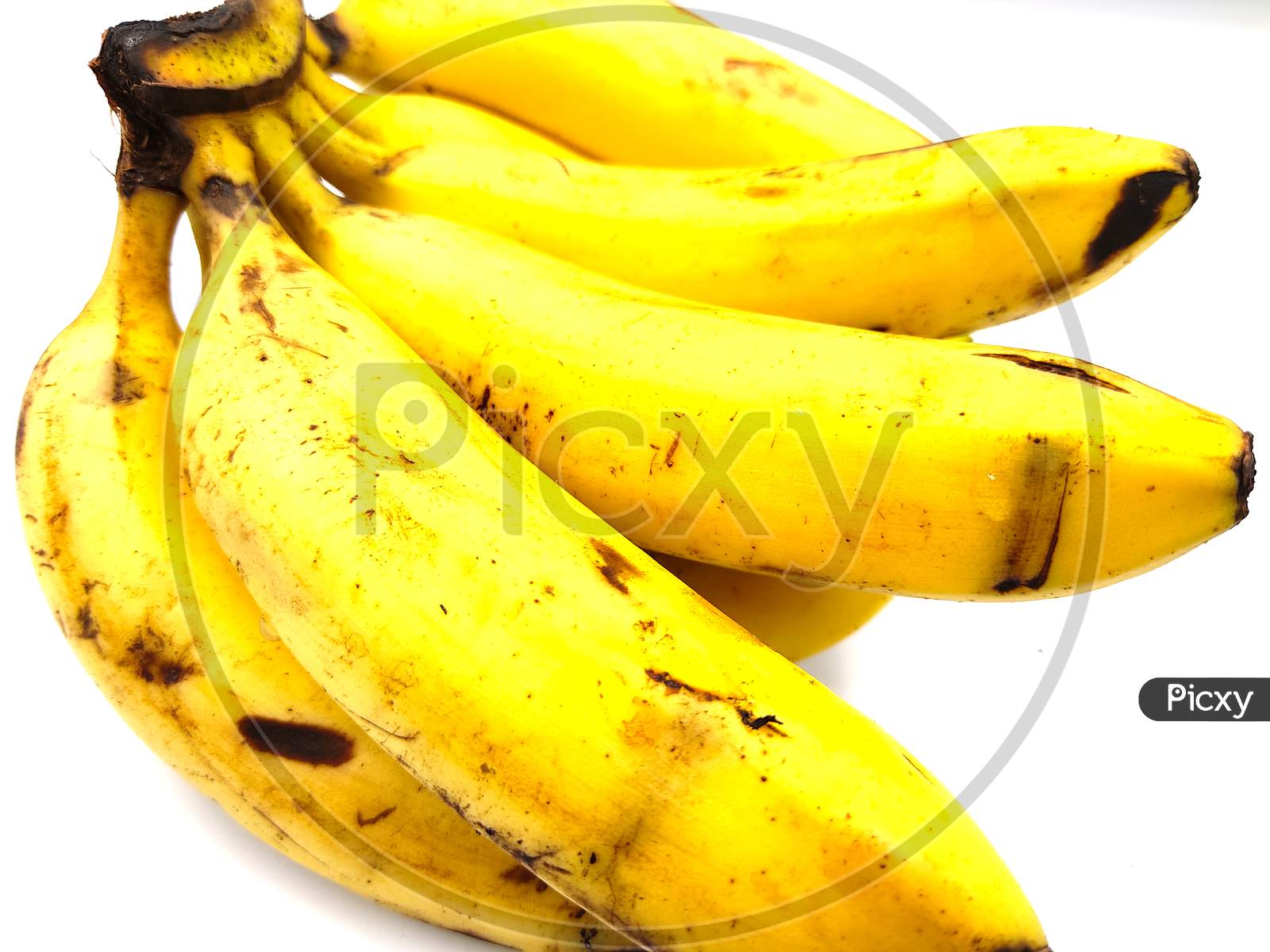 fresh bananas' isolated on white background