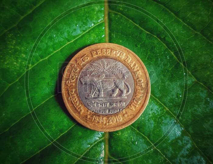 Coin on a Leaf