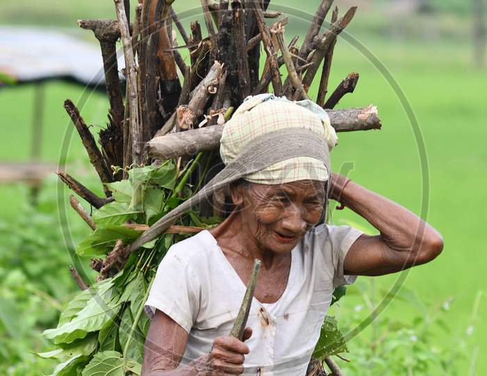 A Karbi tribel women carries firewood collected from the hillside in Nagaon district, in the northeastern state of Assam on  oct 4,2020.