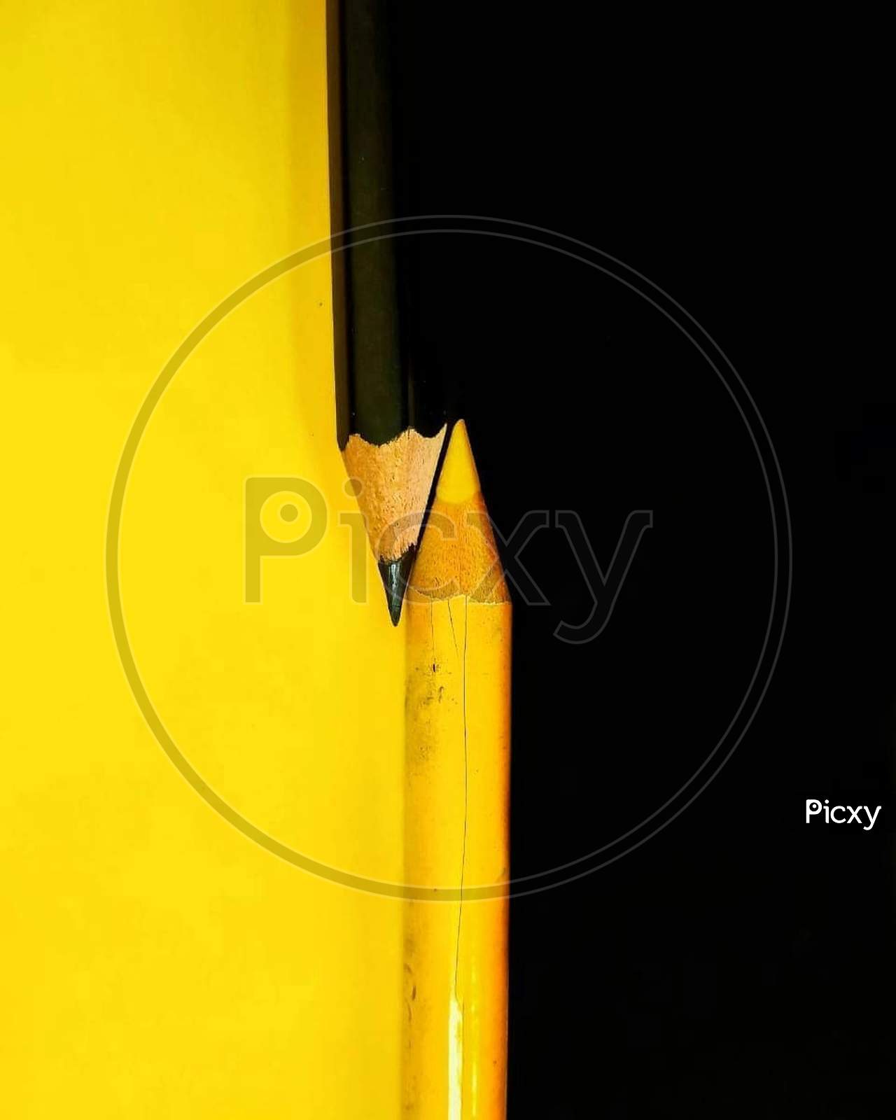 Black and yellow macro photography