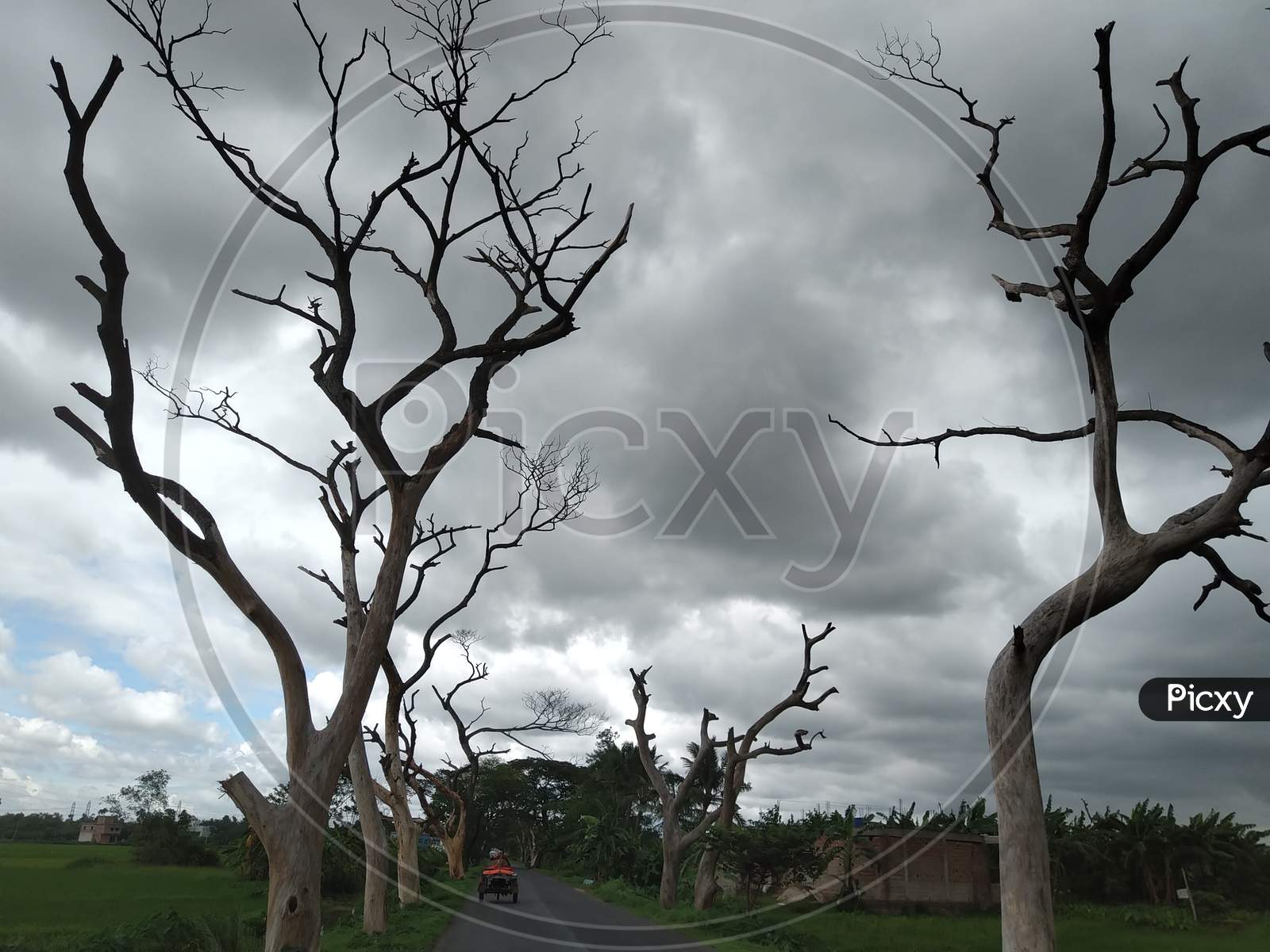 Image Of Clowdy Sky In Village Road With Dead Tree S Zb Picxy