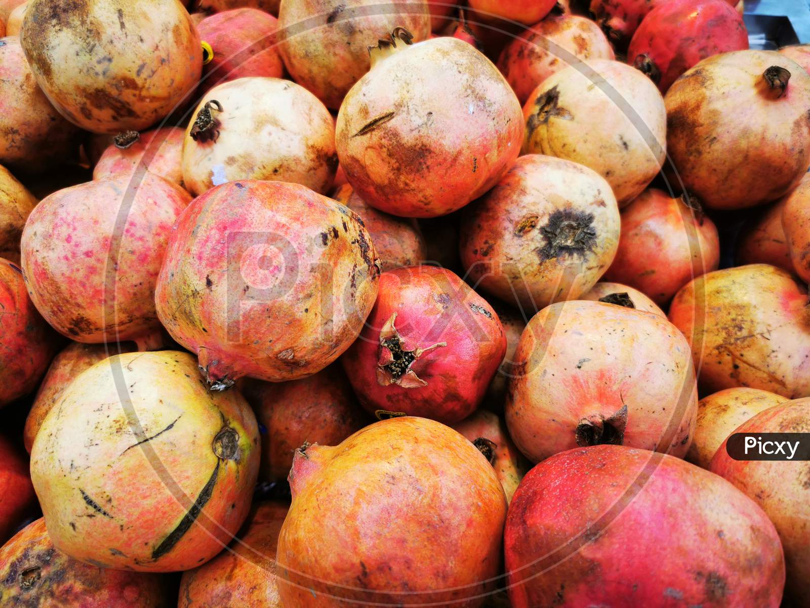 Pomegranate fruit image