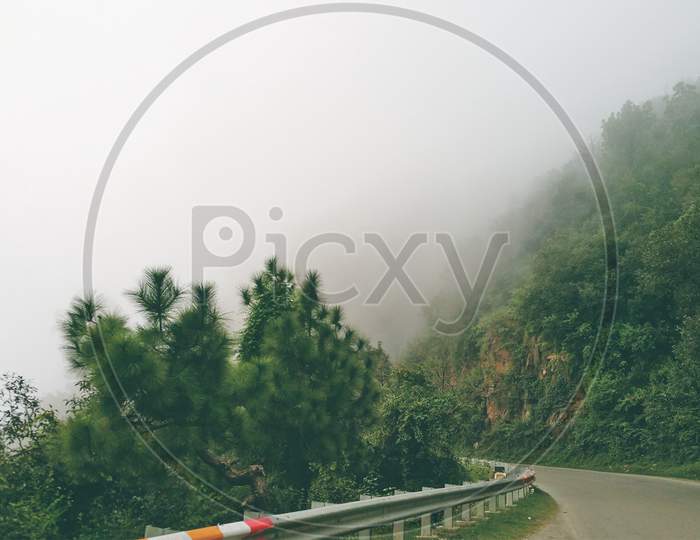 Dense foggy road