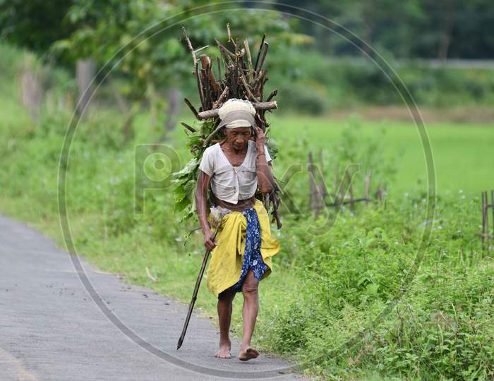 A Karbi tribel women carries firewood collected from the hillside in Nagaon district, in the northeastern state of Assam on  oct 4,2020.