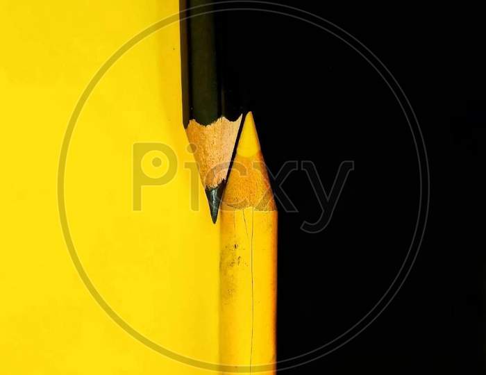 Black and yellow macro photography