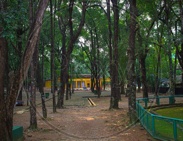 Park at Ragunan Zoo, Jakarta, Indonesia