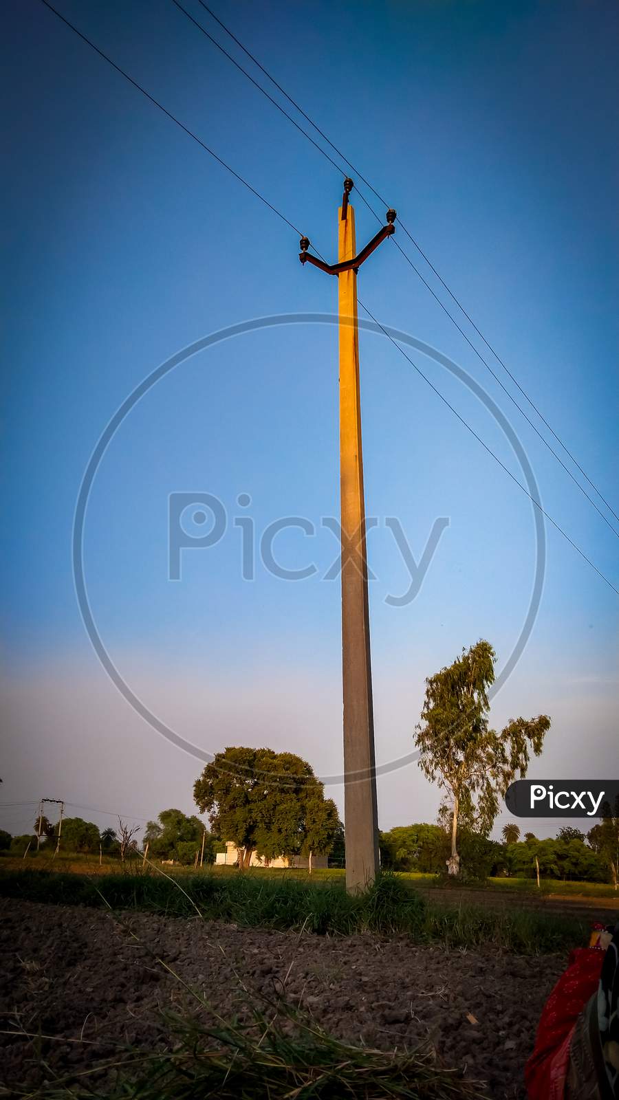 Electric light pole in field