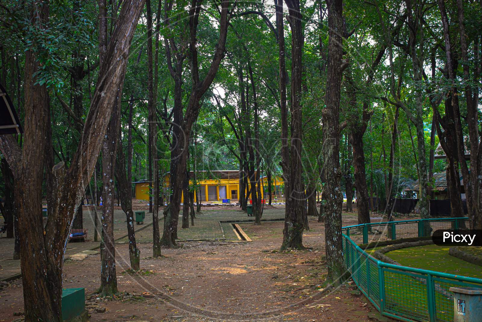 Park at Ragunan Zoo, Jakarta, Indonesia