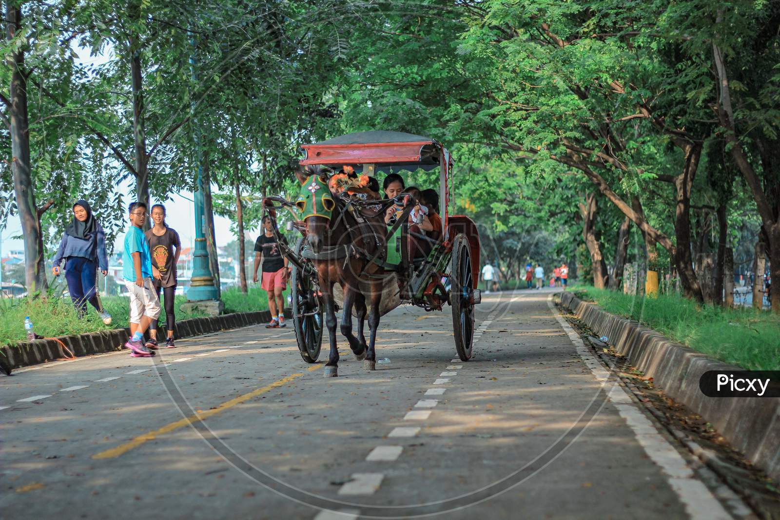 Indonesia traditional transportation: delman or andong (wagon)