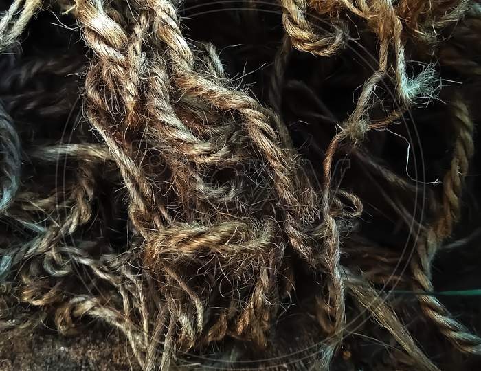 Ropes of plant