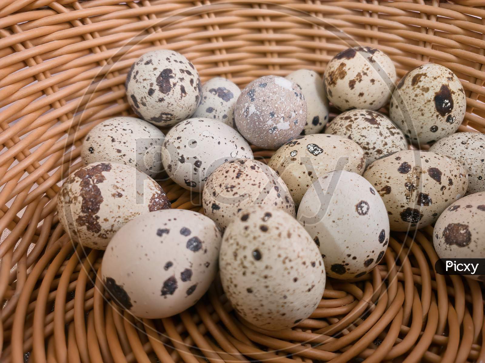Quail Eggs On Basket, Eco Product. Close-Up View