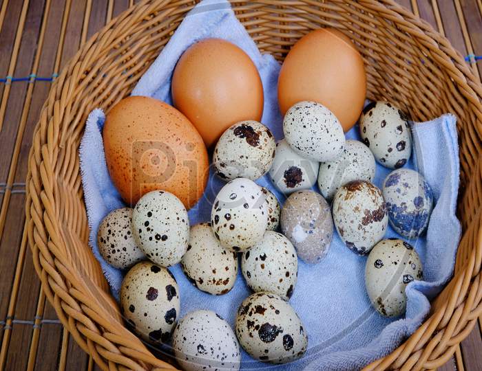 Eggs On Basket, Eco Produc