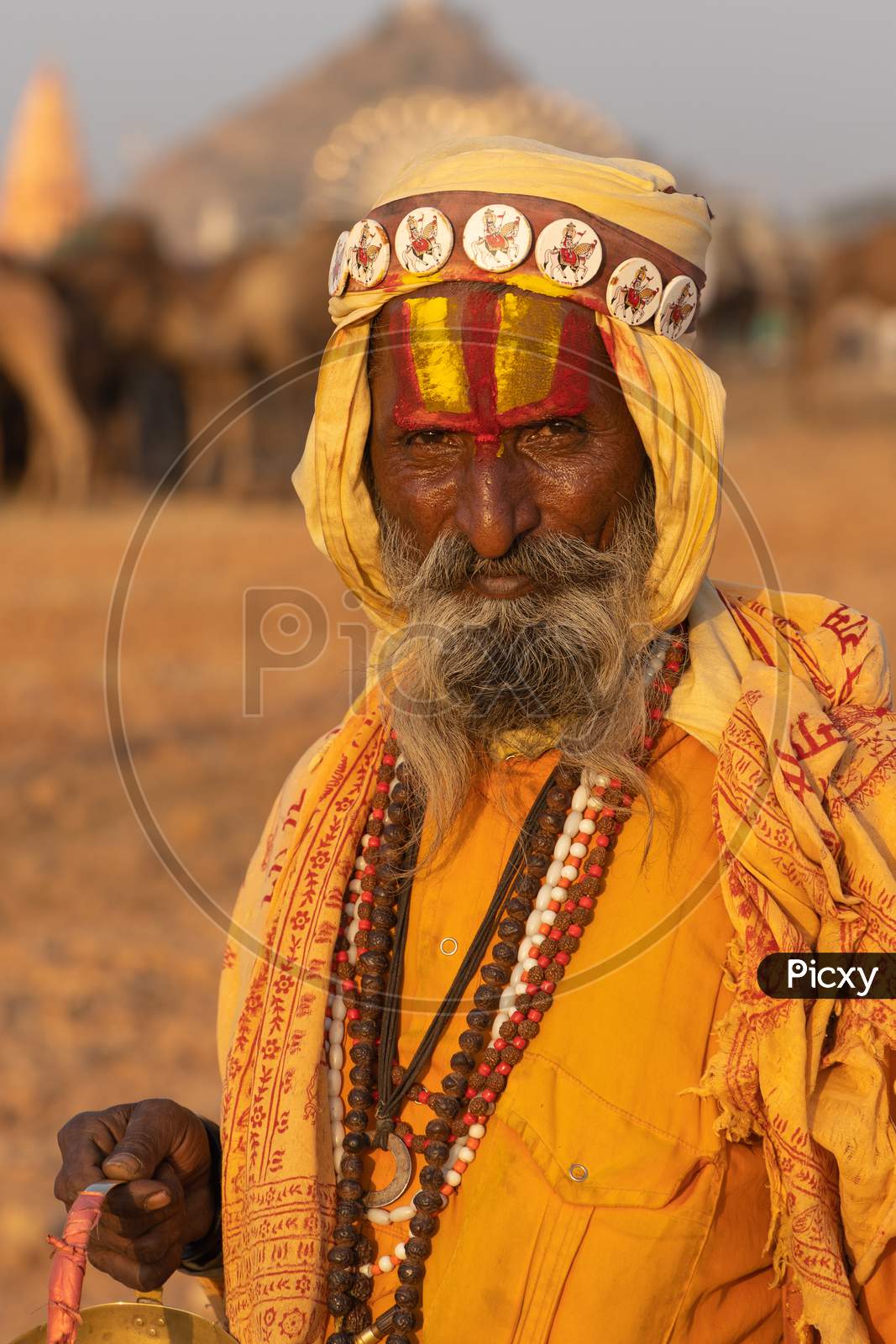 Portrait of a holy person with color on his fore head and beard wearing saffron colored clothes