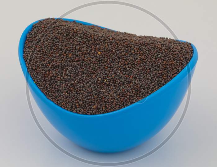 Fresh And Healthy Mustard Seed